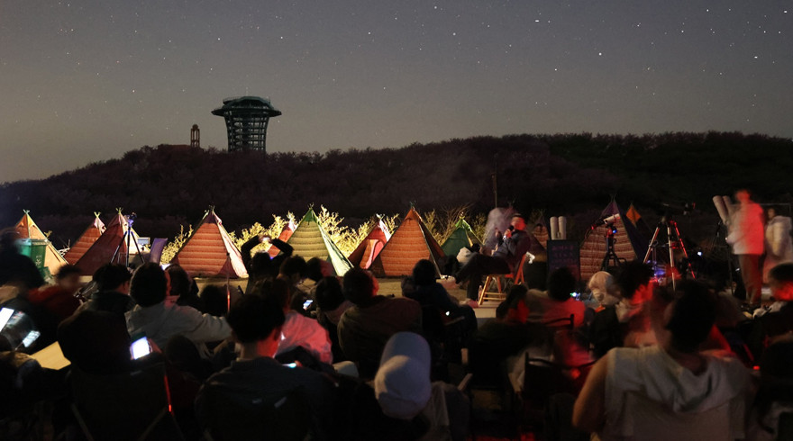 入目樱如雪，抬头星满天：