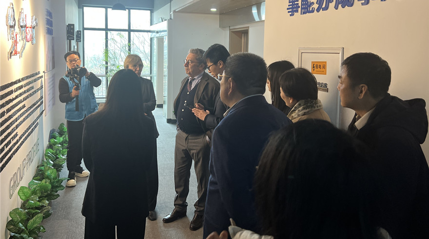 中意携手共促中医药国际化 杭州搭建科技合作新桥梁